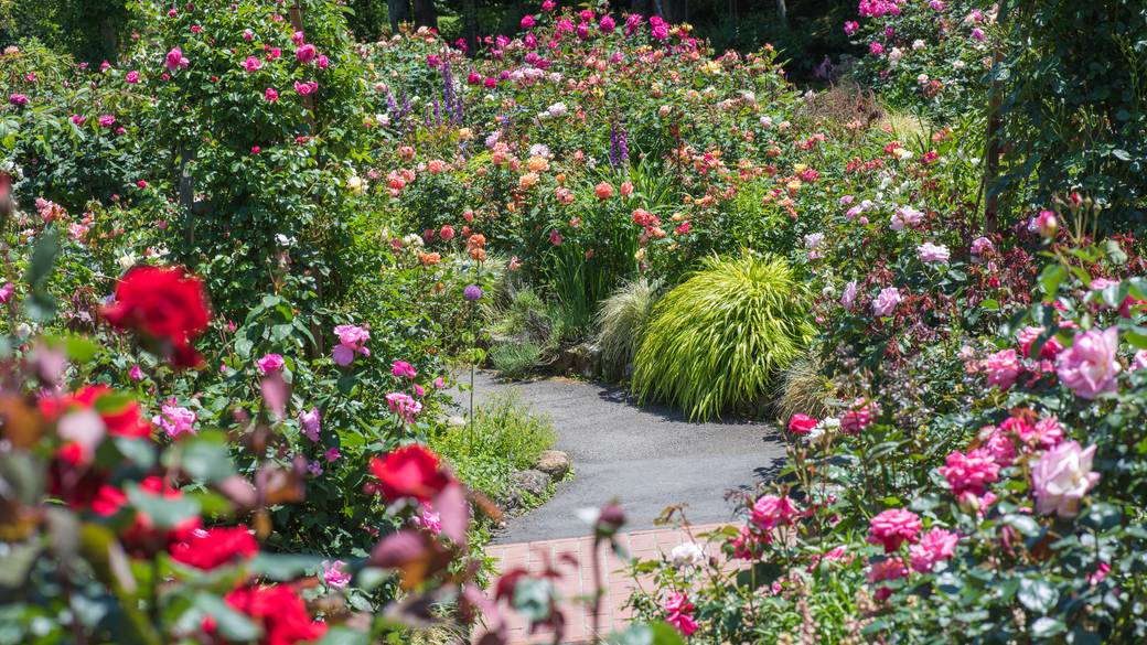 箱根強羅公園 / 2