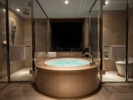 ＯＲＩＥＮＴＡＬ　ＨＯＴＥＬ（オリエンタルホテル） / 5