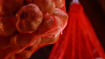 ロビーラウンジ / 24