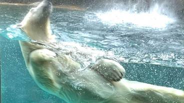 子供向けアクティビティ / 9