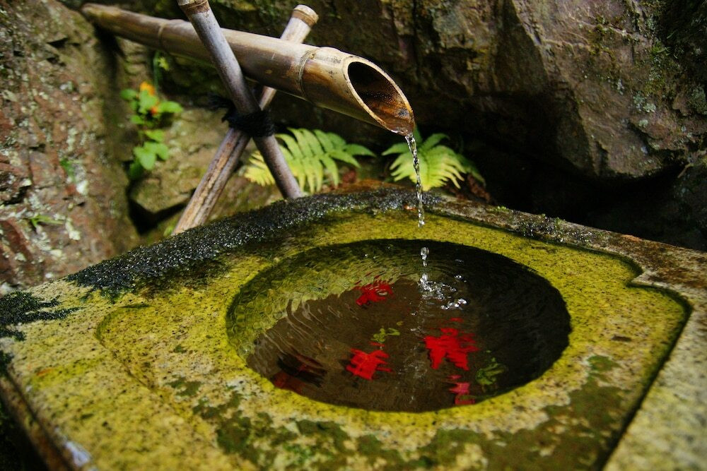 施設からの眺望