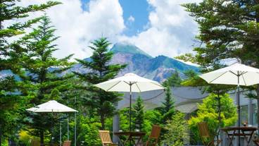 施設の敷地 / 31