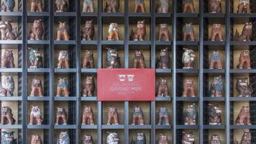 施設の入り口 / 11