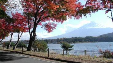 施設からの眺望 / 5