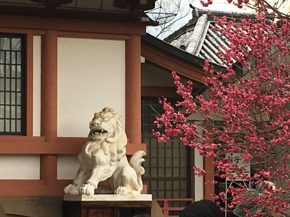 施設からの眺望