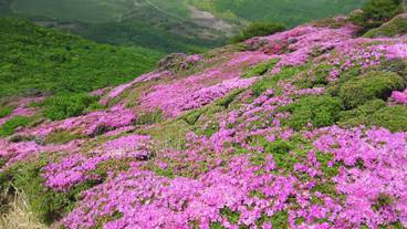 観光スポット / 1