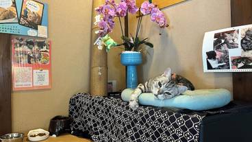 施設内の設備 / 10