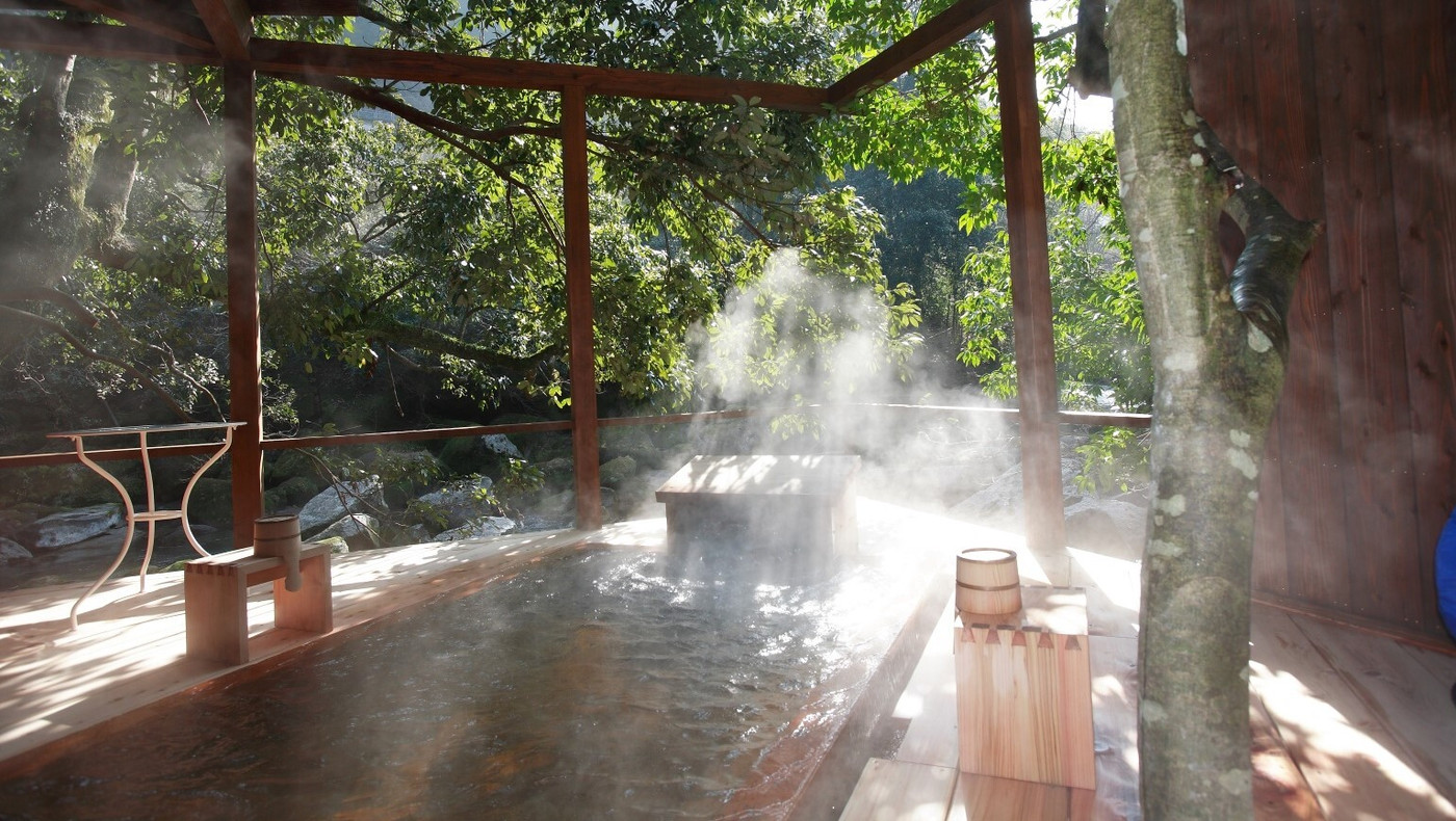 大自然に囲まれた九州で、森林浴でリフレッシュしよう!3654798