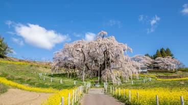 観光スポット / 10