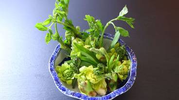 食事・飲み物 / 24