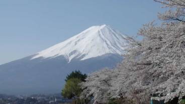 マウンテン ビュー / 8