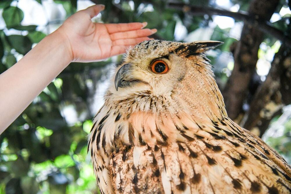 子供向けアクティビティ
