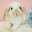 71108050dayo