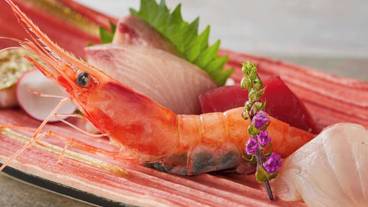 食事・飲み物 / 33