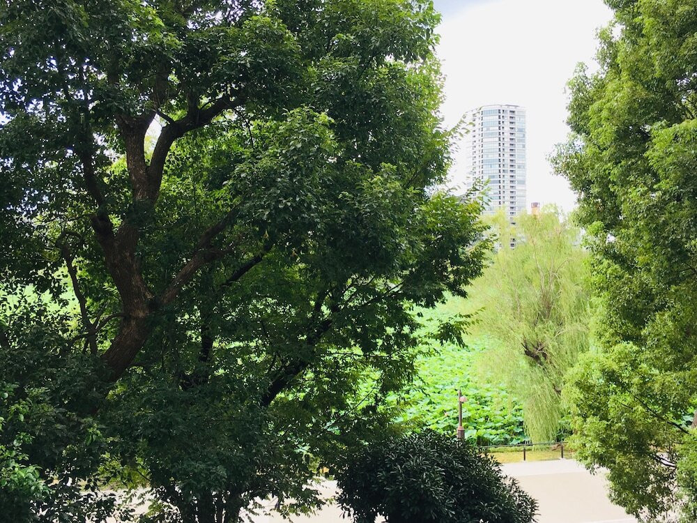 部屋からの景観