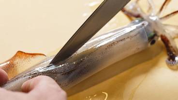 HAKODATE 海峡の風（ハコダテ ウミノカゼ） / 14