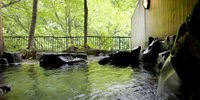 【群馬】東京から2時間以内の穴場温泉でほっこり。隠れた名湯「湯檜曽」の旅館5選