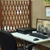 嬉野温泉 心ほぐす宿 入船荘（佐賀県 旅館） / 3