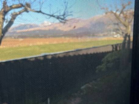 御宿だいこんや / 4