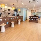 コンフォートホテル新潟駅前（新潟県 ビジネスホテル） / 3