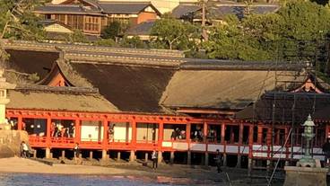 ランド ビュー / 23