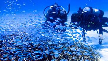 スポーツ設備 / 2