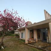 た～んたわん（沖縄県 コテージ・ロッジ・一棟貸） / 4