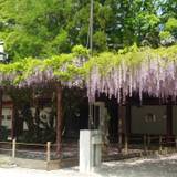 笠間稲荷神社（カサマイナリジンジャ）
