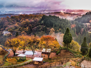 Alone or with friends! onsen paradise "Oguni-machi and Minamioguni-machi" is amazing♪3384976