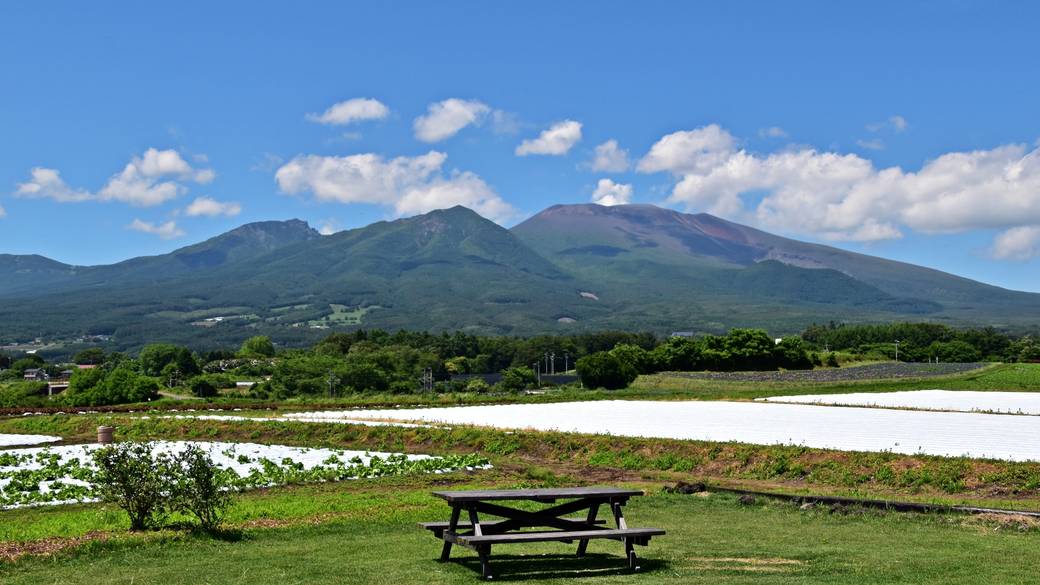 軽井沢に到着
人気イタリアンを味わう / 1