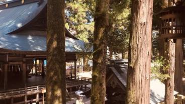 諏訪大社 境内 / 3