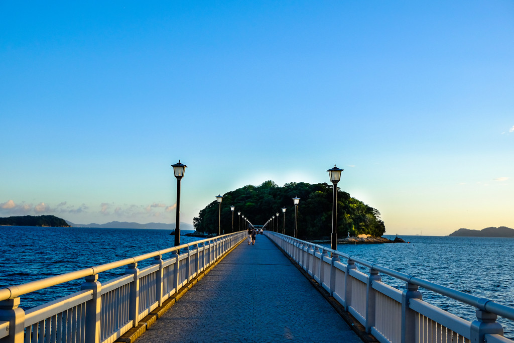 いかがでしたか？3427642