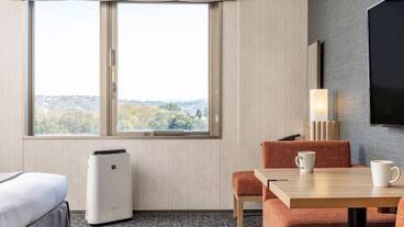 客室の設備とサービス / 36