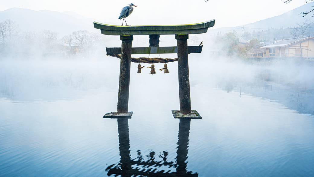 朝霧の金鱗湖 / 1