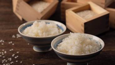 朝食スペース / 15