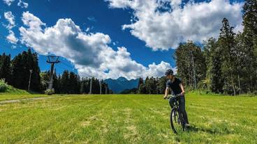自転車 / 3