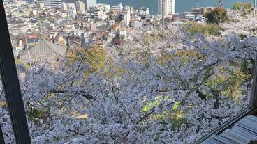 施設からの眺望 / 17