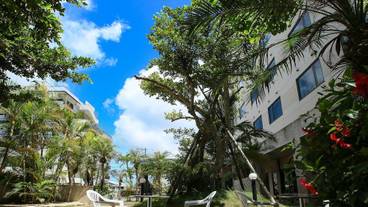 テラス / パティオ / 20