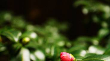 施設からの眺望 / 14