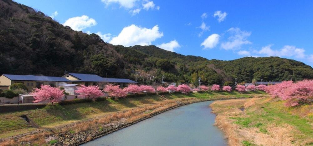 マウンテン ビュー