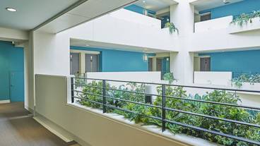 建物のデザイン / 15