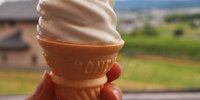 食べ歩き・ドライブのお供に！奈良のおすすめひんやりスイーツ6選