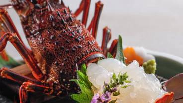 食事・飲み物 / 27