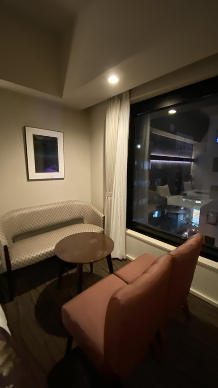 窓辺に椅子が大きくあるあたり面積の広さを感じますね