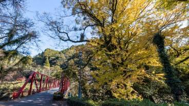 ハイキング / 11