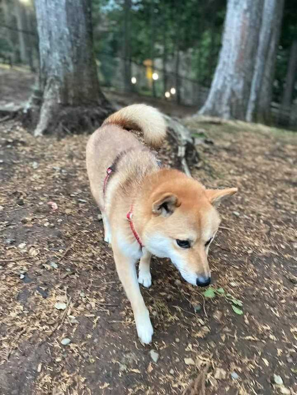 anzu.1120さんの写真 / 2