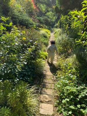 kahokahozooさんの写真 / 4