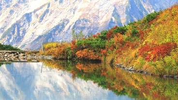 施設の敷地 / 28