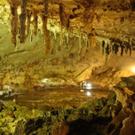 山口県が誇る巨大な鍾乳洞・秋芳洞で洞内巡りをしませんか？