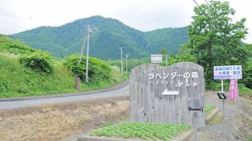 施設の敷地 / 31